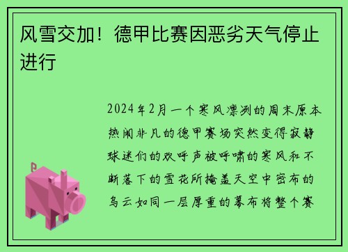 风雪交加！德甲比赛因恶劣天气停止进行